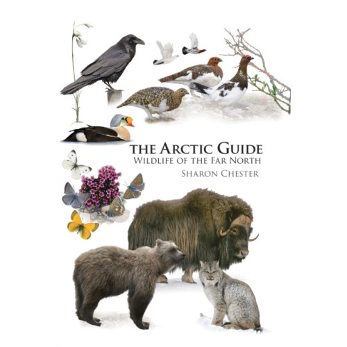 Princeton University Press The Arctic Guide (häftad, eng)