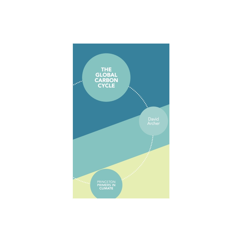 Produktbild för The Global Carbon Cycle (häftad, eng)
