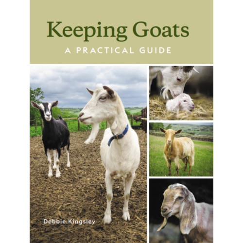 The Crowood Press Ltd Keeping Goats (inbunden, eng)