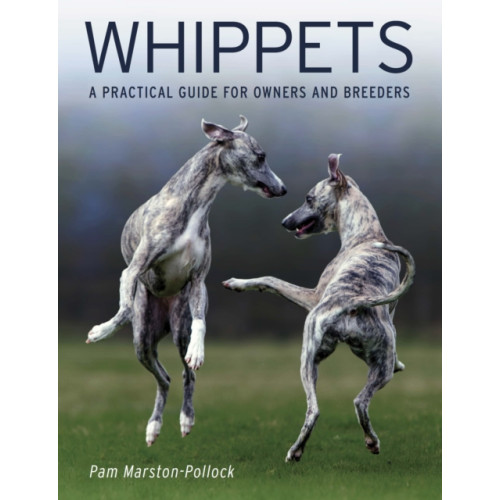 The Crowood Press Ltd Whippets (häftad, eng)