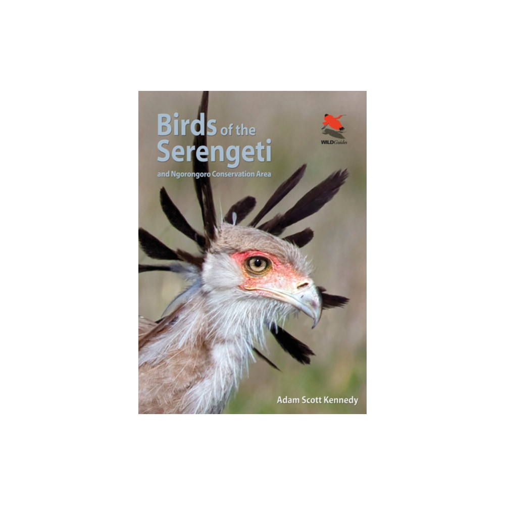 Produktbild för Birds of the Serengeti (häftad, eng)