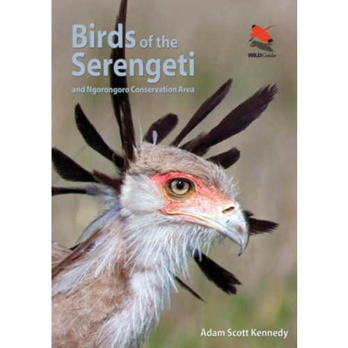 Princeton University Press Birds of the Serengeti (häftad, eng)