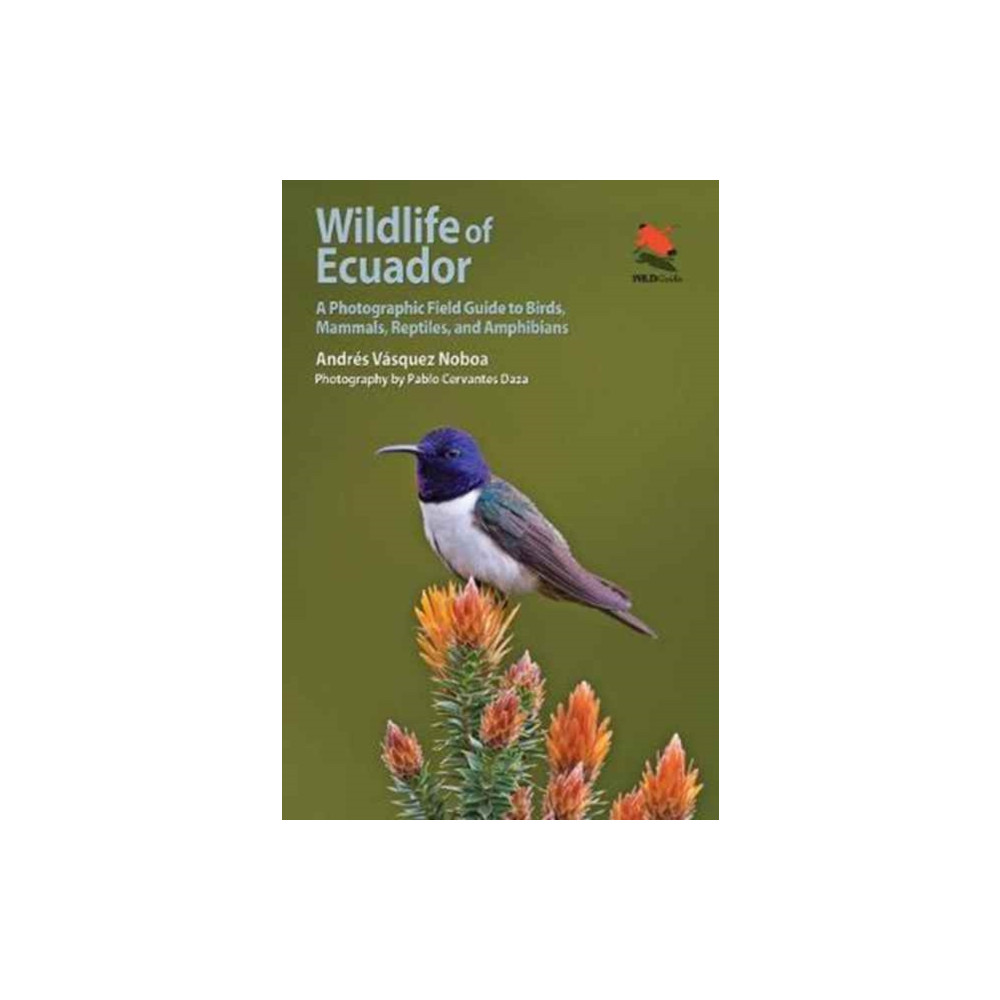Produktbild för Wildlife of Ecuador (häftad, eng)