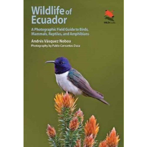Princeton University Press Wildlife of Ecuador (häftad, eng)
