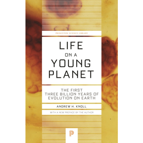 Princeton University Press Life on a Young Planet (häftad, eng)