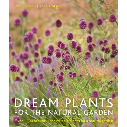 Quarto Publishing Plc Dream Plants for the Natural Garden (häftad, eng)