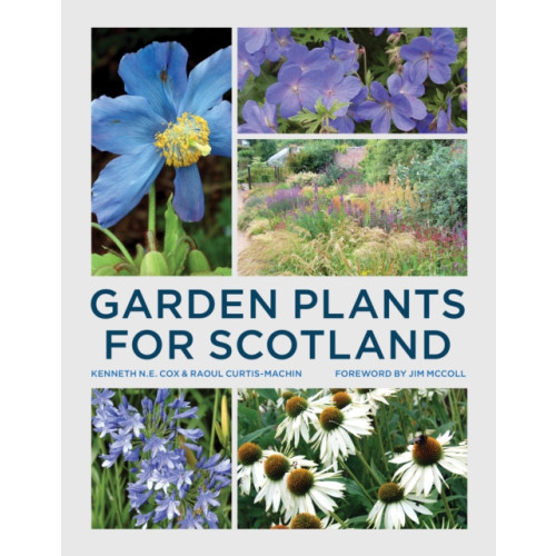 Quarto Publishing Plc Garden Plants for Scotland (häftad, eng)