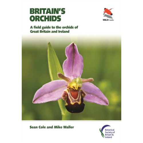 Princeton University Press Britain's Orchids (häftad, eng)