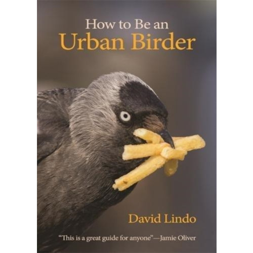 Princeton University Press How to Be an Urban Birder (häftad, eng)