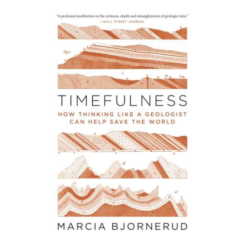 Princeton University Press Timefulness (häftad, eng)