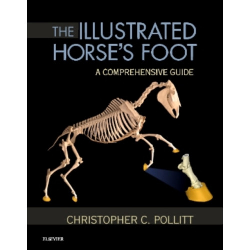 Elsevier Health Sciences The Illustrated Horse's Foot (inbunden, eng)