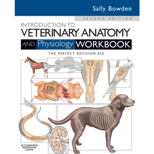 Elsevier Science & Technology Introduction to Veterinary Anatomy and Physiology Workbook (häftad, eng)