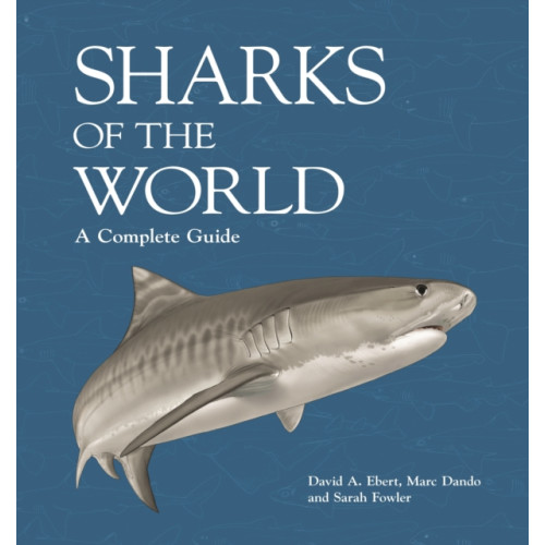 Princeton University Press Sharks of the World (inbunden, eng)