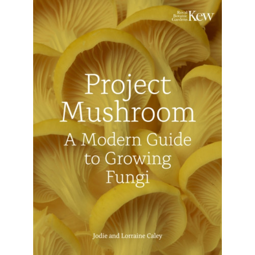 Quarto Publishing Plc Project Mushroom (inbunden, eng)