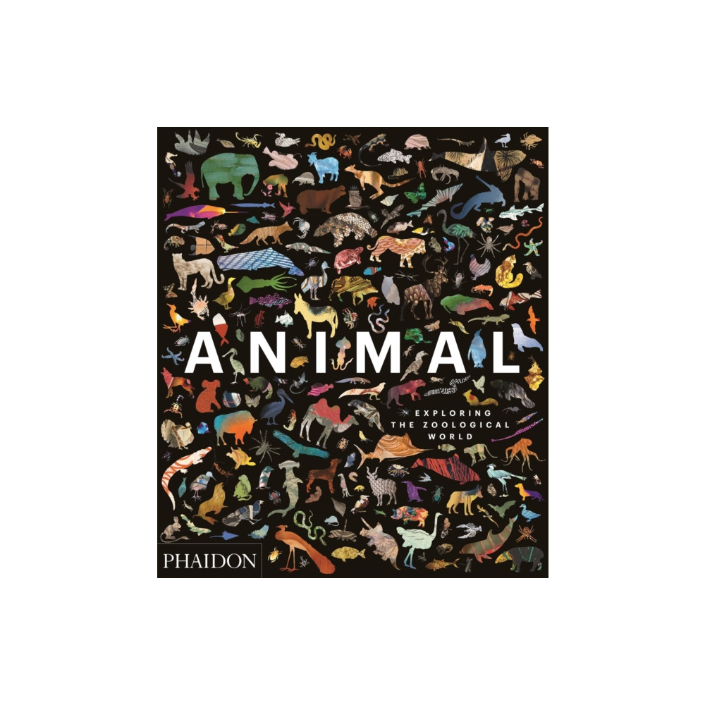 Produktbild för Animal (inbunden, eng)