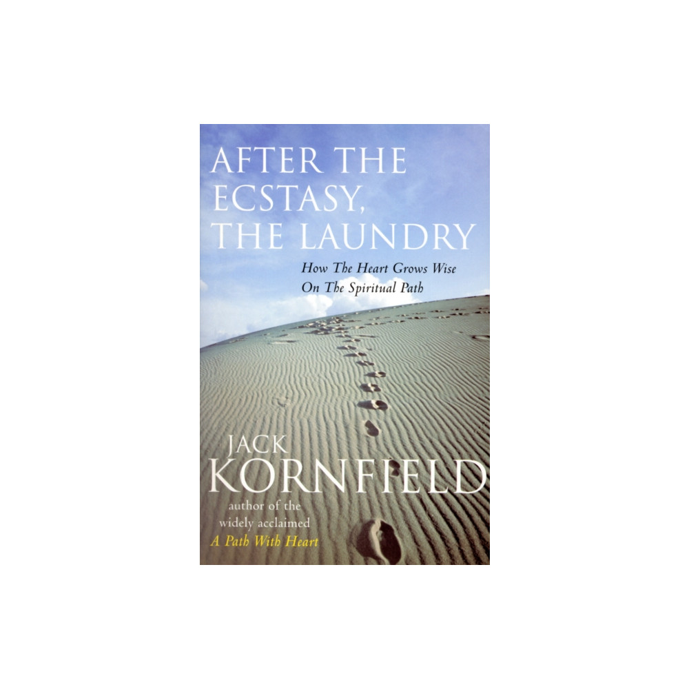 Produktbild för After The Ecstasy, The Laundry (häftad, eng)