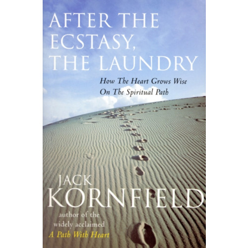 Ebury Publishing After The Ecstasy, The Laundry (häftad, eng)