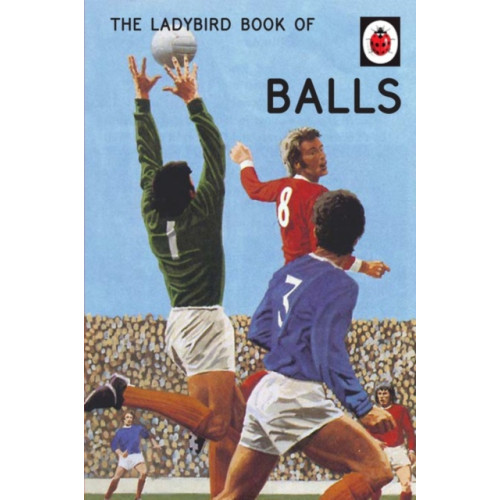 Penguin books ltd The Ladybird Book of Balls (inbunden, eng)
