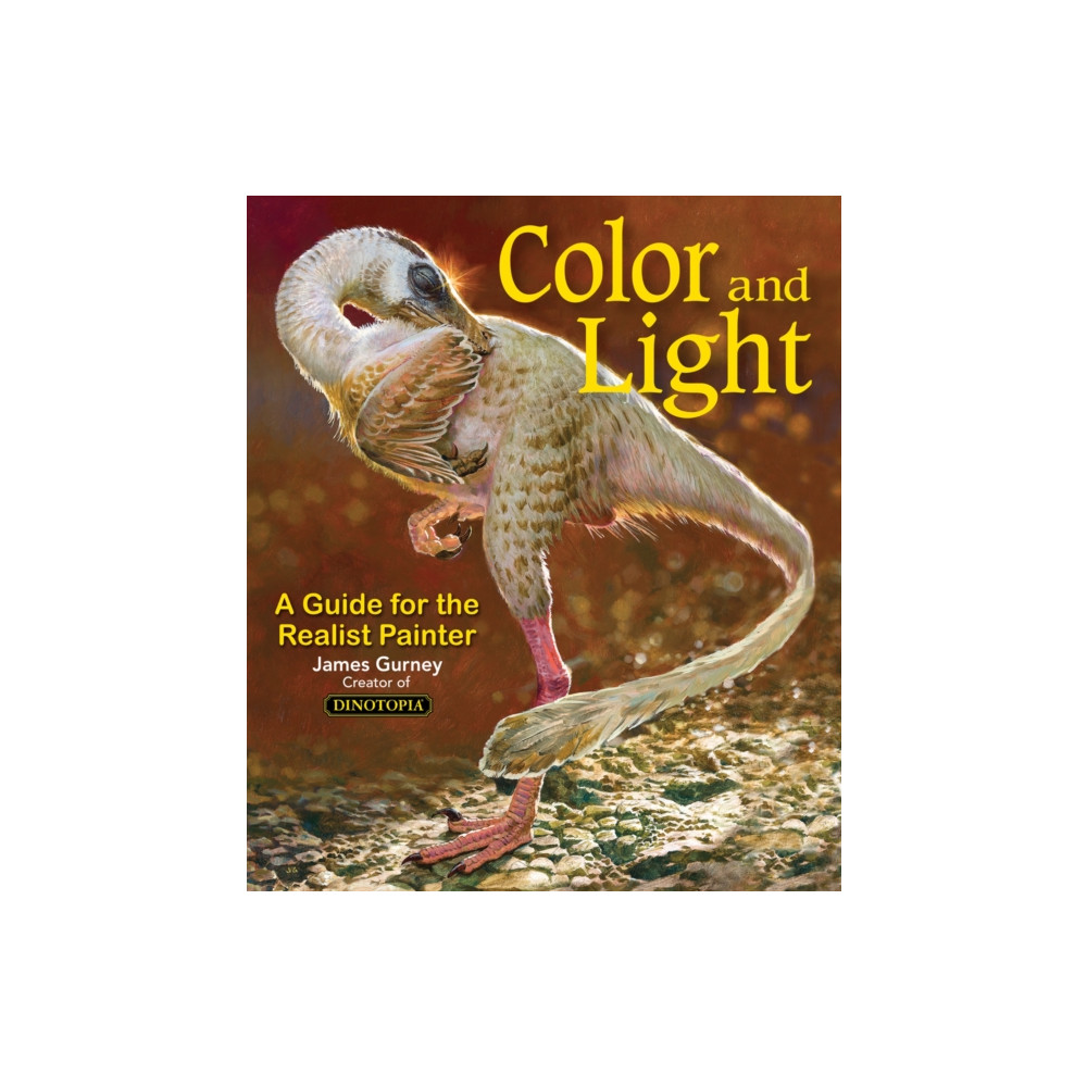 Produktbild för Colour and Light (häftad, eng)