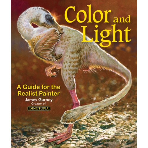 Andrews McMeel Publishing Colour and Light (häftad, eng)