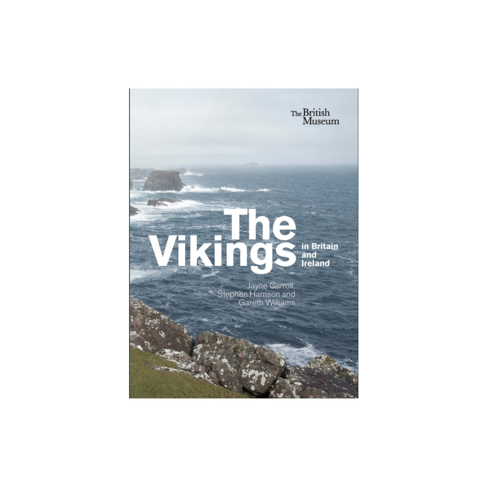 Produktbild för The Vikings in Britain and Ireland (häftad, eng)