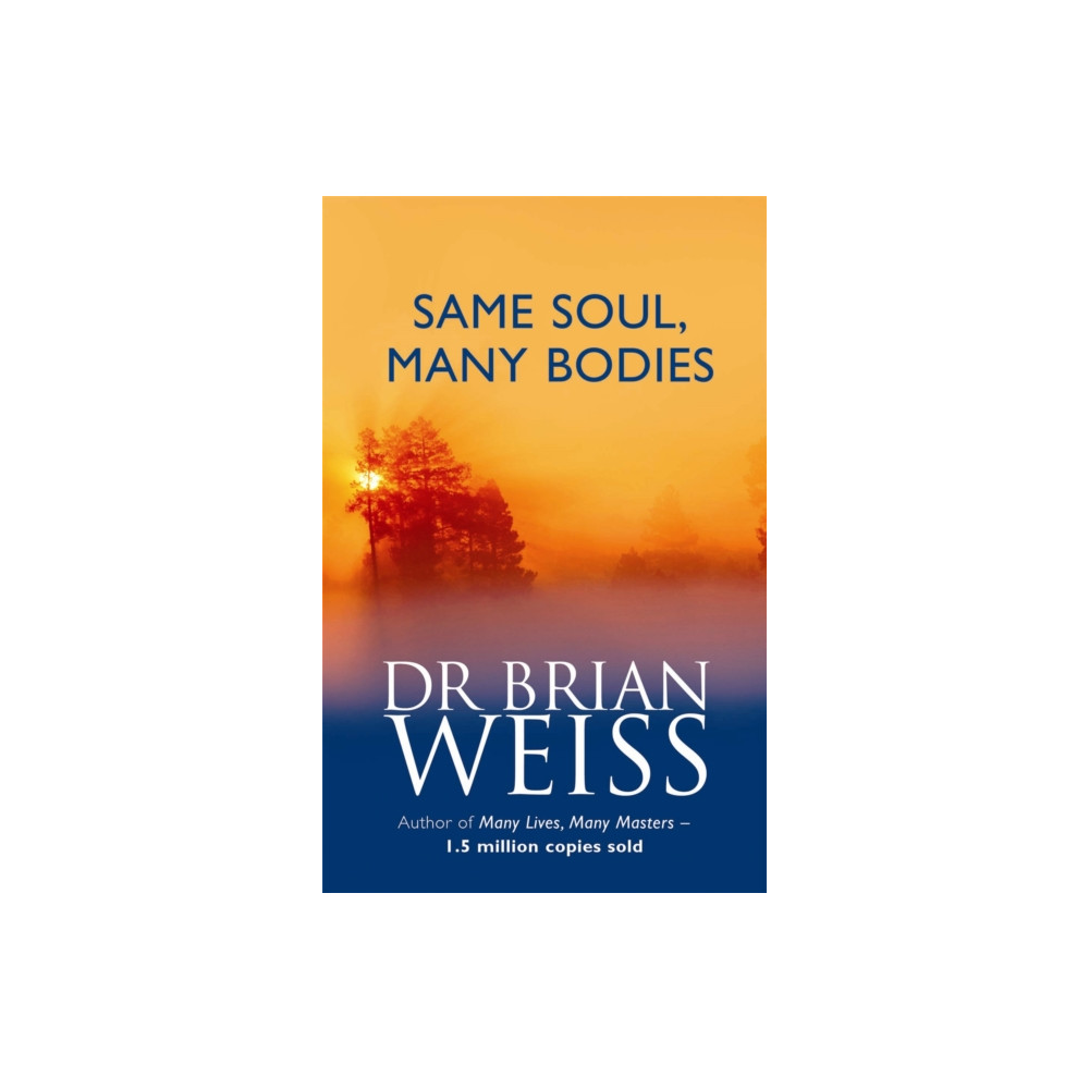 Produktbild för Same Soul, Many Bodies (häftad, eng)