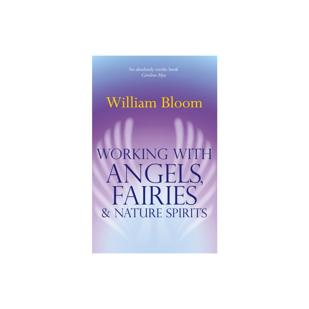 Produktbild för Working With Angels, Fairies And Nature Spirits (häftad, eng)