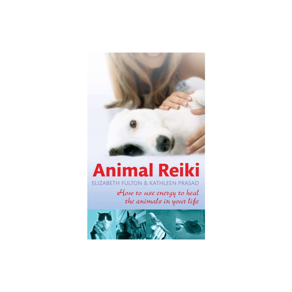 Produktbild för Animal Reiki (häftad, eng)