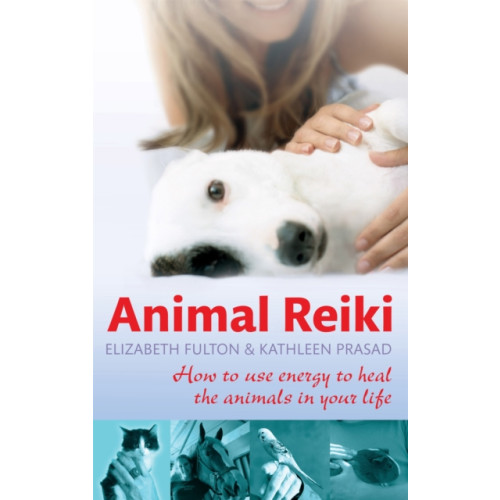 Little, Brown Book Group Animal Reiki (häftad, eng)