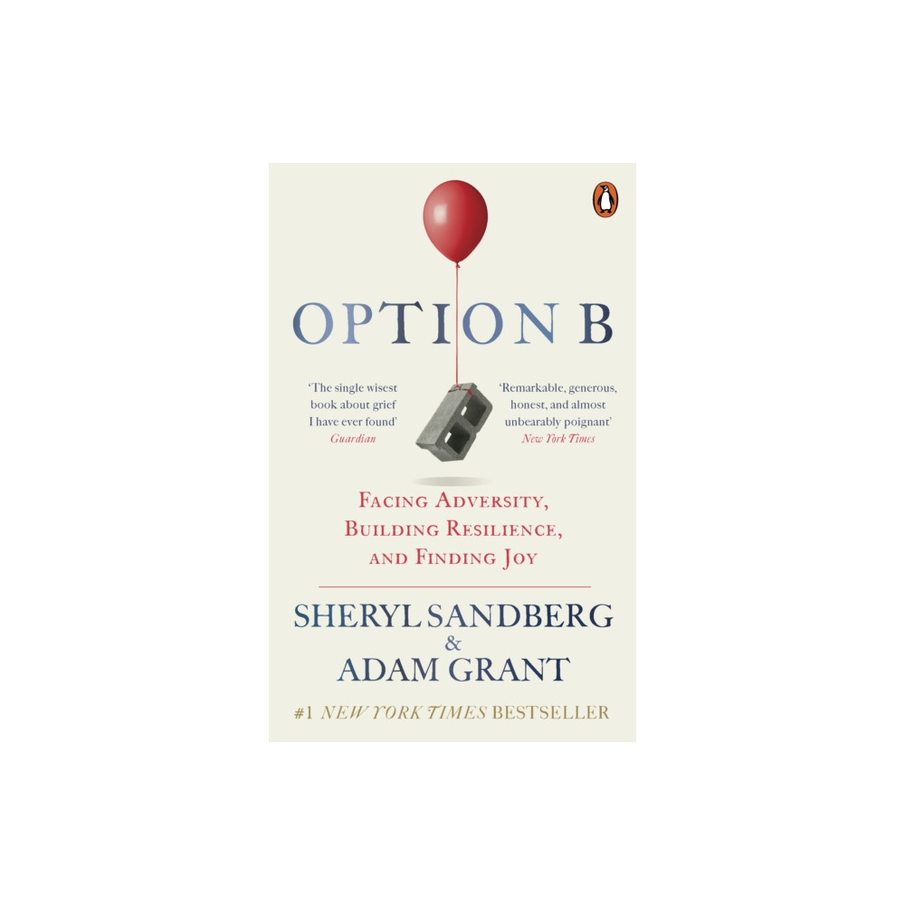 Produktbild för Option B (häftad, eng)
