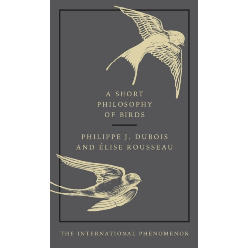 Ebury Publishing A Short Philosophy of Birds (inbunden, eng)
