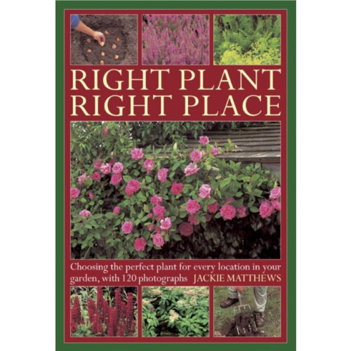 Anness publishing Right Plant Right Place (inbunden, eng)