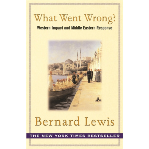 Orion Publishing Co What Went Wrong? (häftad, eng)