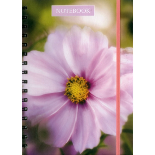 Anness publishing Notebook Pink Cosmos (inbunden, eng)