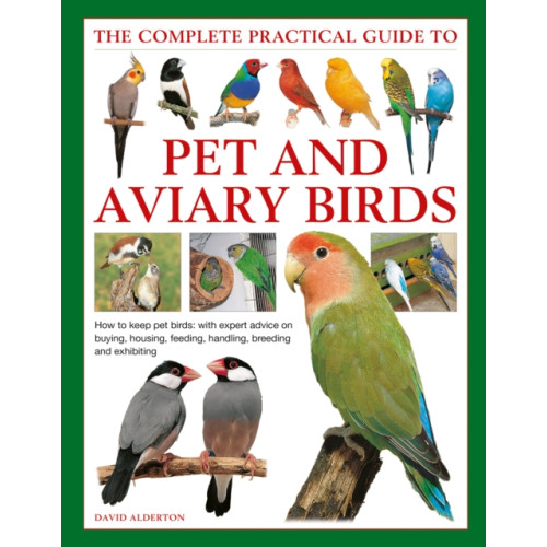 Anness publishing Keeping Pet & Aviary Birds, The Complete Practical Guide to (inbunden, eng)