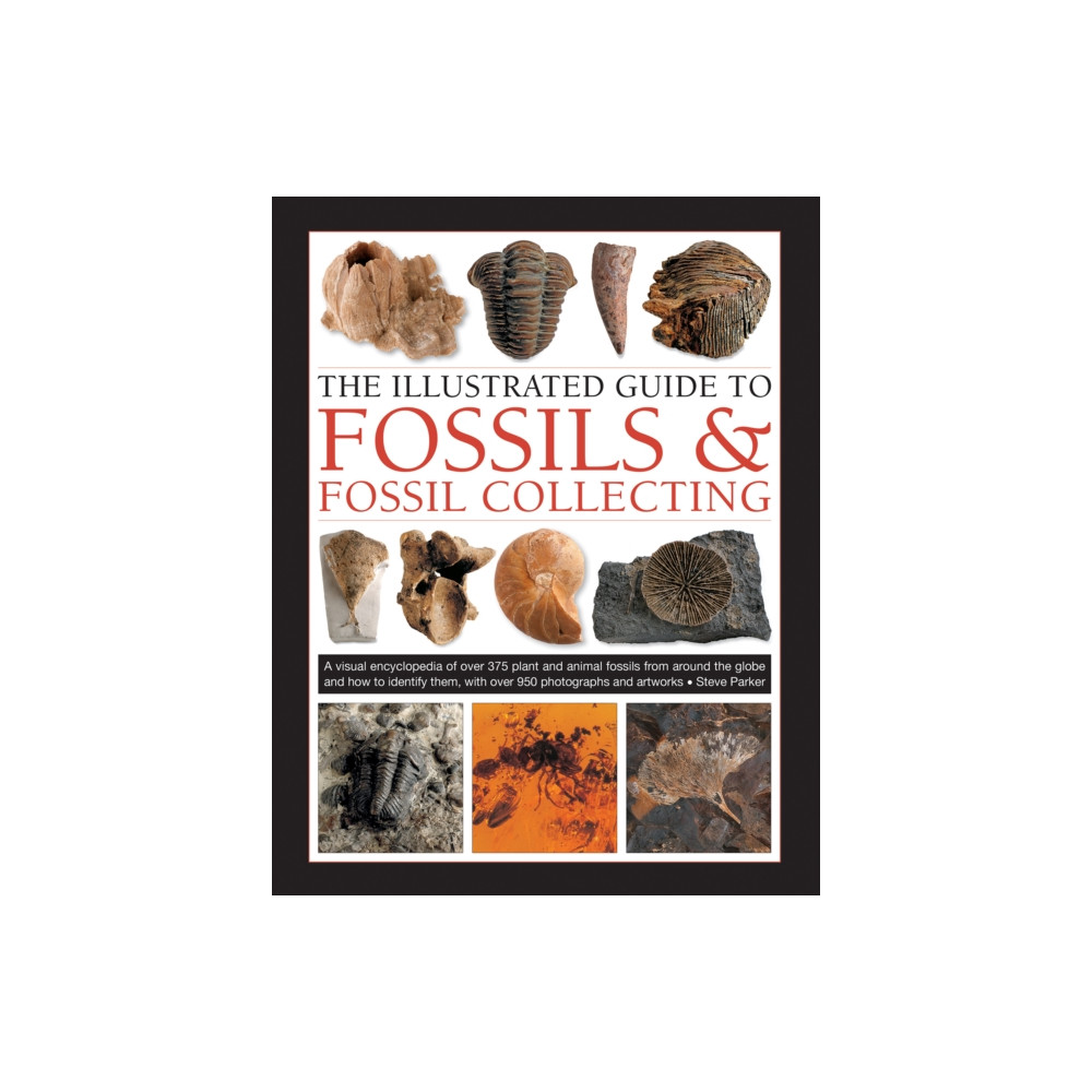 Produktbild för Fossils & Fossil Collecting, The Illustrated Guide to (inbunden, eng)