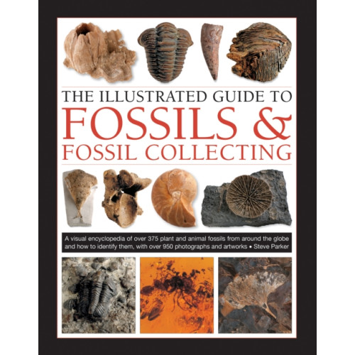 Anness publishing Fossils & Fossil Collecting, The Illustrated Guide to (inbunden, eng)