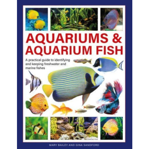 Anness publishing Aquariums & Aquarium Fish (inbunden, eng)