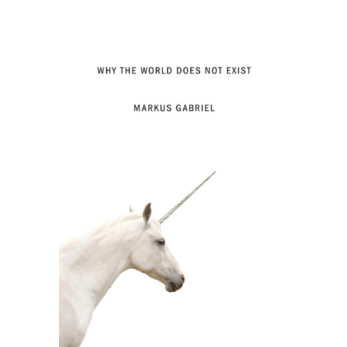John Wiley And Sons Ltd Why the World Does Not Exist (häftad, eng)