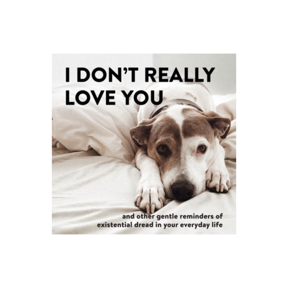 Produktbild för I Don't Really Love You (inbunden, eng)