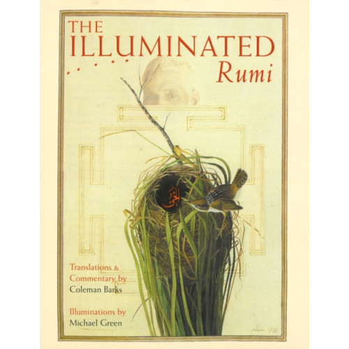 Broadway Books (A Division of Bantam Doubleday Dell Publishing Group Inc) The Illuminated Rumi (häftad, eng)