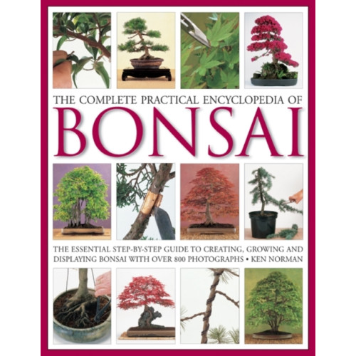 Anness publishing Complete Practical Encyclopedia of Bonsai (inbunden, eng)