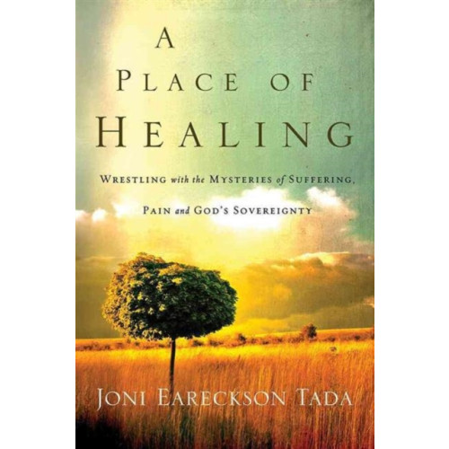 David C Cook Publishing Company A Place of Healing (häftad, eng)