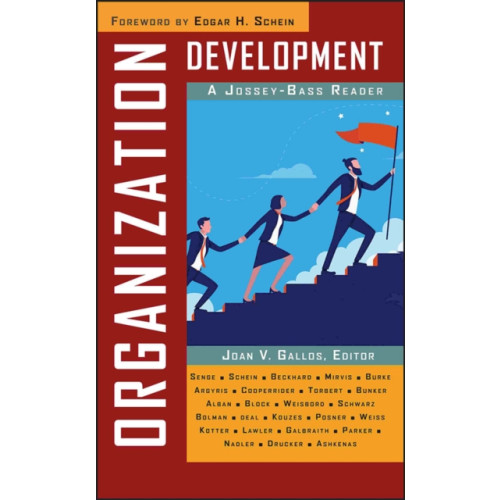 John Wiley & Sons Inc Organization Development (häftad, eng)