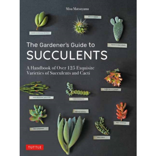 Tuttle Publishing The Gardener's Guide to Succulents (inbunden, eng)