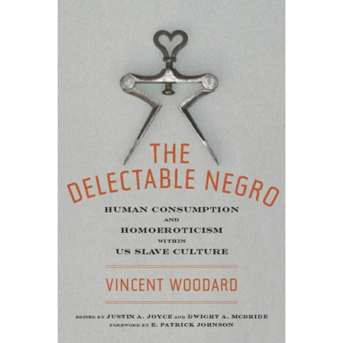 New York University Press The Delectable Negro (häftad, eng)