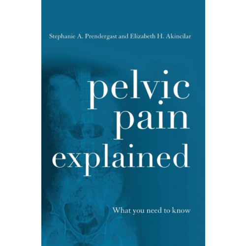 Rowman & littlefield Pelvic Pain Explained (häftad, eng)