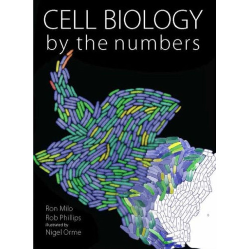 Taylor & francis inc Cell Biology by the Numbers (häftad, eng)