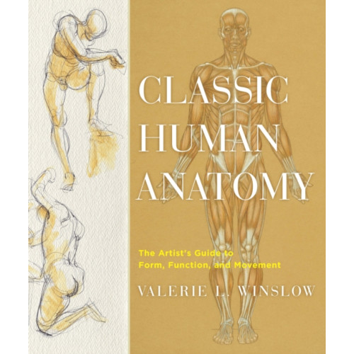 Watson-Guptill Publications Classic Human Anatomy (inbunden, eng)