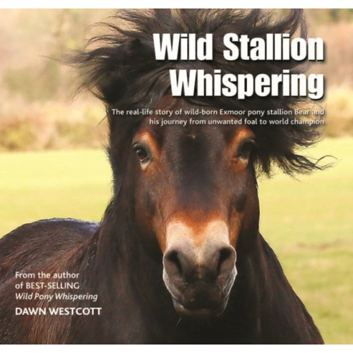 Halsgrove Wild Stallion Whispering (inbunden, eng)